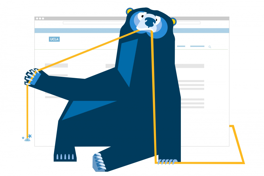 bear illustration indicating page not found