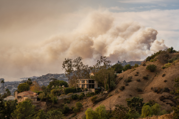 Griffith Park fire